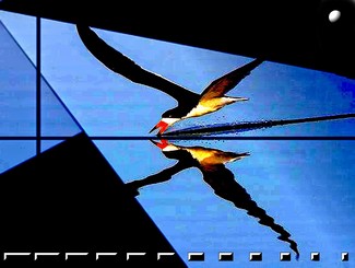 Poem Image