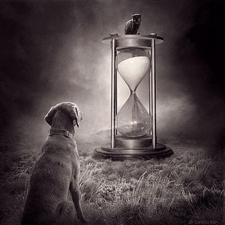 Poem Artwork