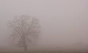 Poem Image