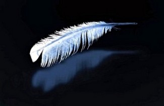 Poem Artwork