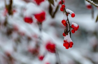 Poem Image