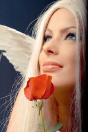 Poem Image