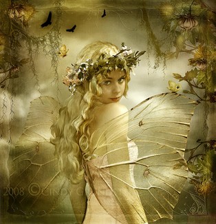 Poem Image