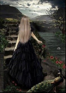 Poem Image