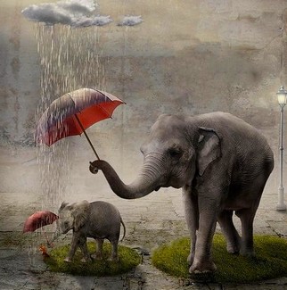 Poem Artwork