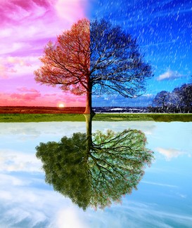Poem Artwork