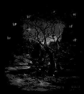 Poem Artwork