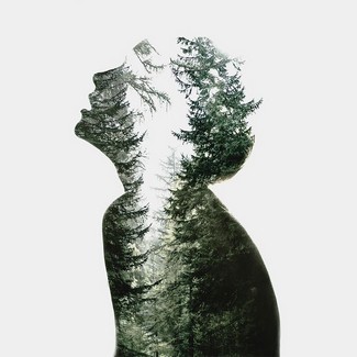 Poem Artwork