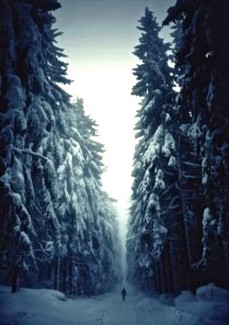 Poem Artwork