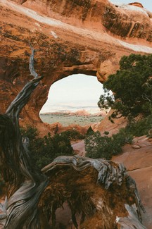 Poem Artwork