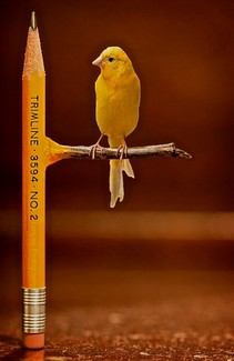 Poem Artwork