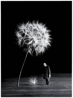 Poem Artwork