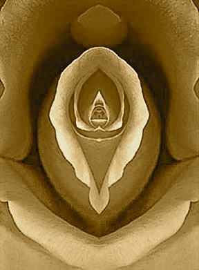 Poem Artwork