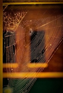 Poem Artwork
