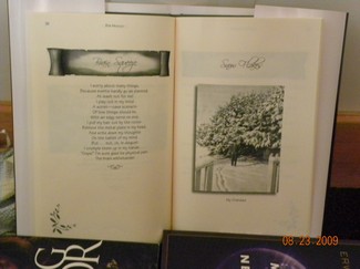 Poem Artwork