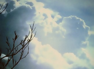 Poem Image