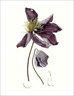 Poem Artwork