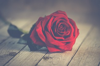 Poem Artwork