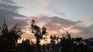 Poem Image