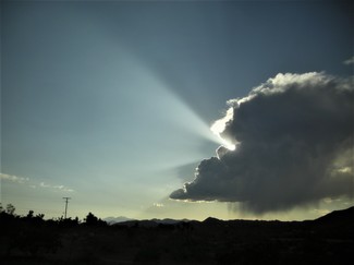 Poem Image