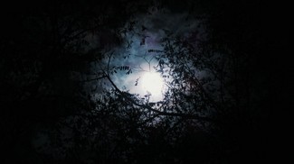 Poem Image