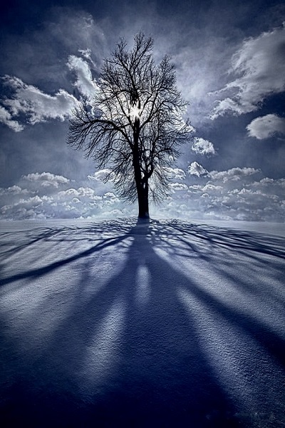 Poem Artwork