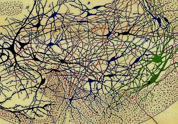 Poem Artwork