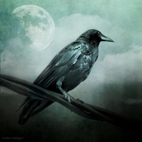 Poem Artwork
