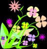 Poem Image