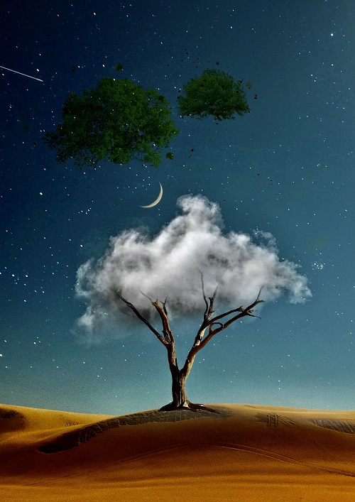 Poem Artwork