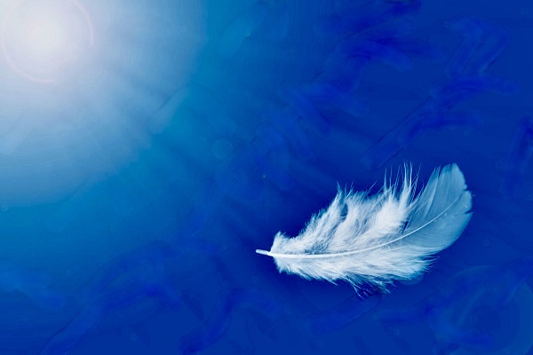 Poem Artwork