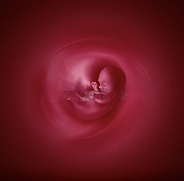 Poem Artwork