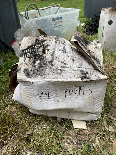 Poem Artwork