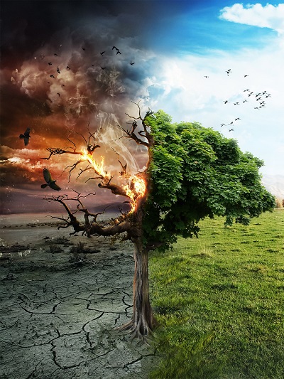 Poem Artwork