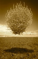 Poem Artwork