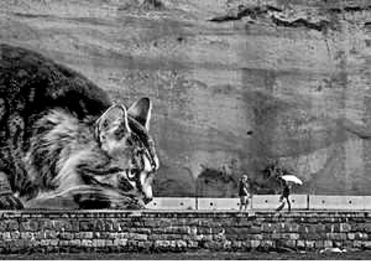 Poem Artwork