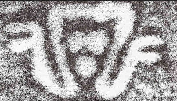 Poem Image