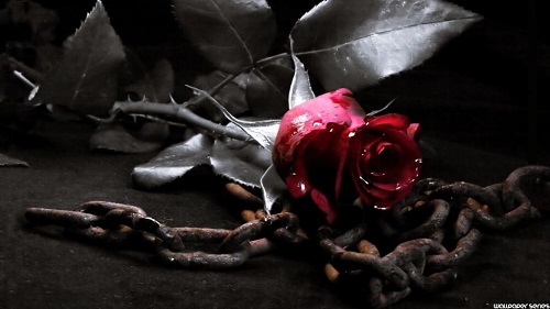 Poem Image