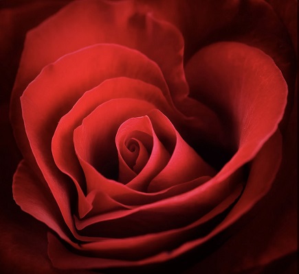 Poem Artwork