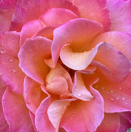 Poem Image