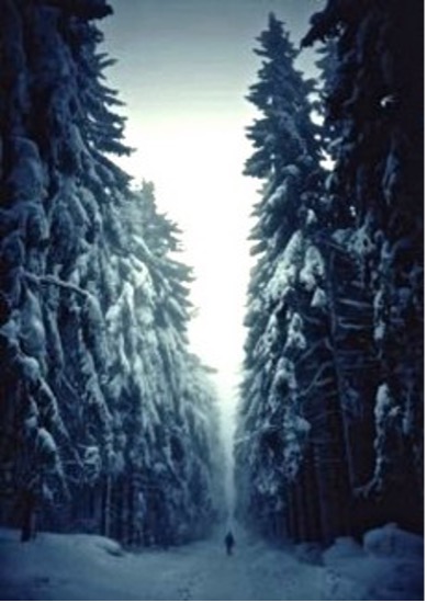 Poem Artwork