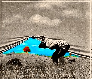 Poem Artwork