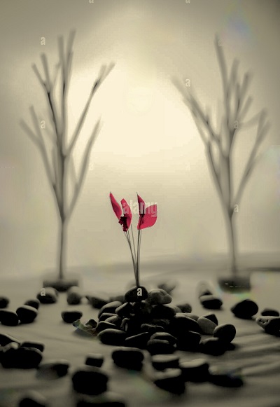 Poem Artwork
