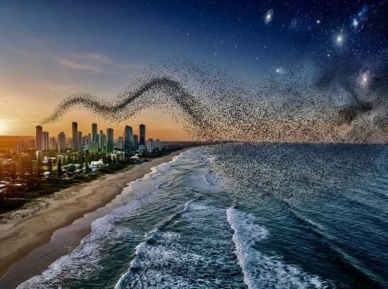 Poem Artwork