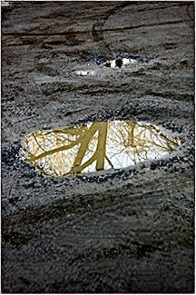 Poem Artwork