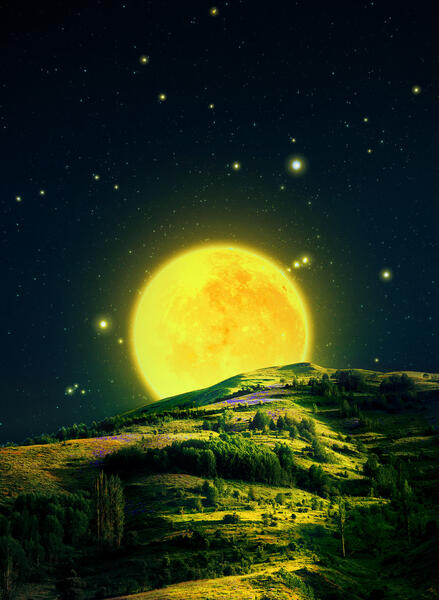 Poem Artwork