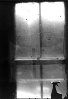 Poem Image