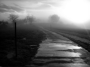 Poem Image