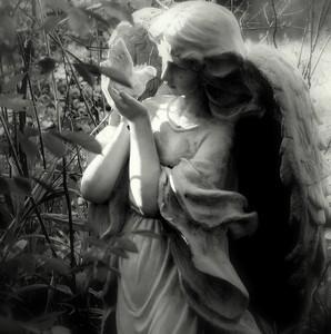 Poem Image