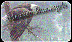 Poem Image